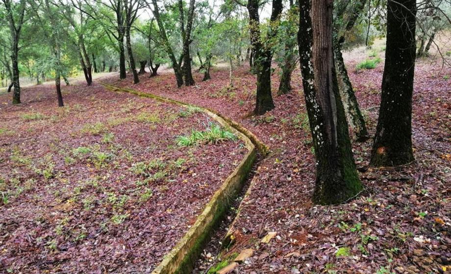Finca La Liserilla Galaroza Ngoại thất bức ảnh