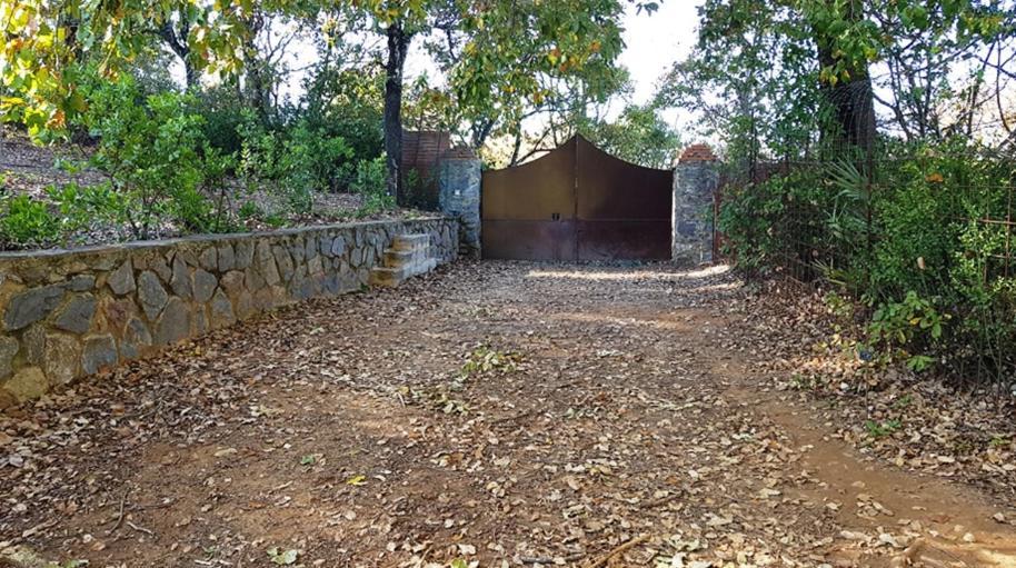 Finca La Liserilla Galaroza Ngoại thất bức ảnh